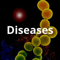 Disease-2.png